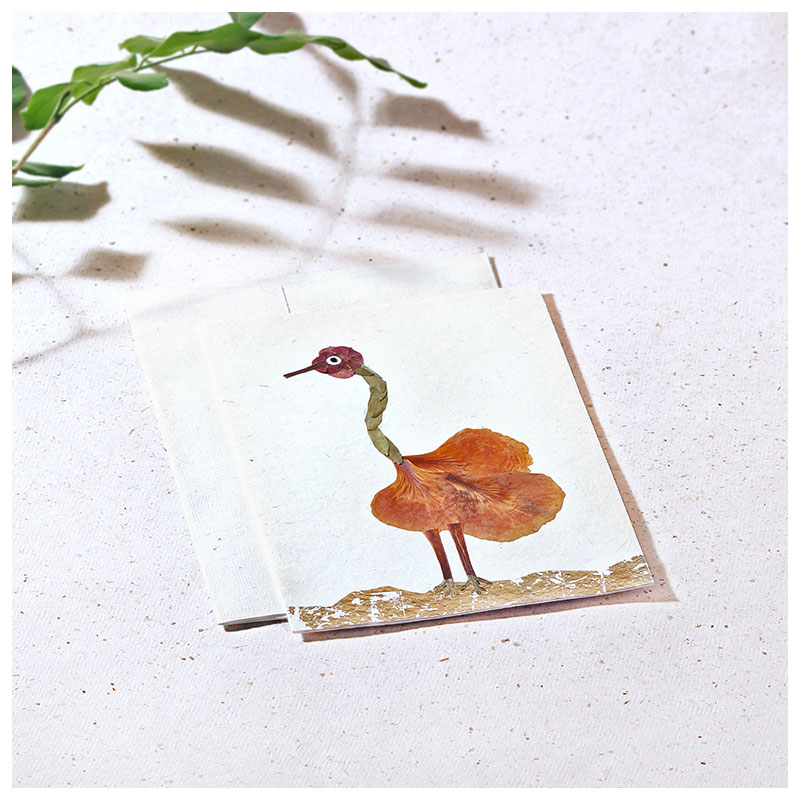 You are currently viewing Ostrich Card